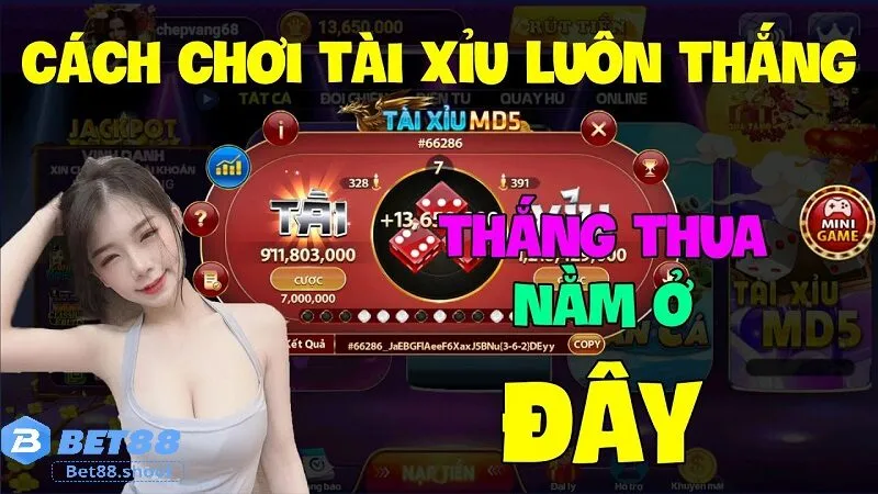 Chiến thuật chơi tài xỉu uy tín dễ thắng cho người mới bắt đầu